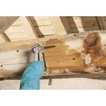 INJECTEUR POUR TRAITEMENT CURATIF