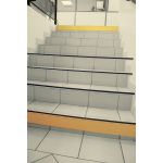 SEUIL POUR NEZ DE MARCHE