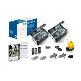 Motorisation Portail enterrée CAME U1990 FROG 24V Kit + 2 télécommandes!
