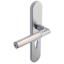 BEQUILLE DOUBLE ELECTRONIQUE CODE HANDLE SUR PLAQUE VACHETTE