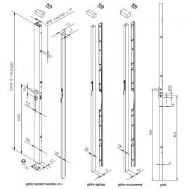 Serrure en applique carénée 6 points Bricard Cerbere 3 A2P* gâche standard