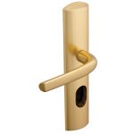 POIGNEE DE PORTE DE SECURITE FLORENCE 2 FINITION OR VACHETTE ASSA ABLOY